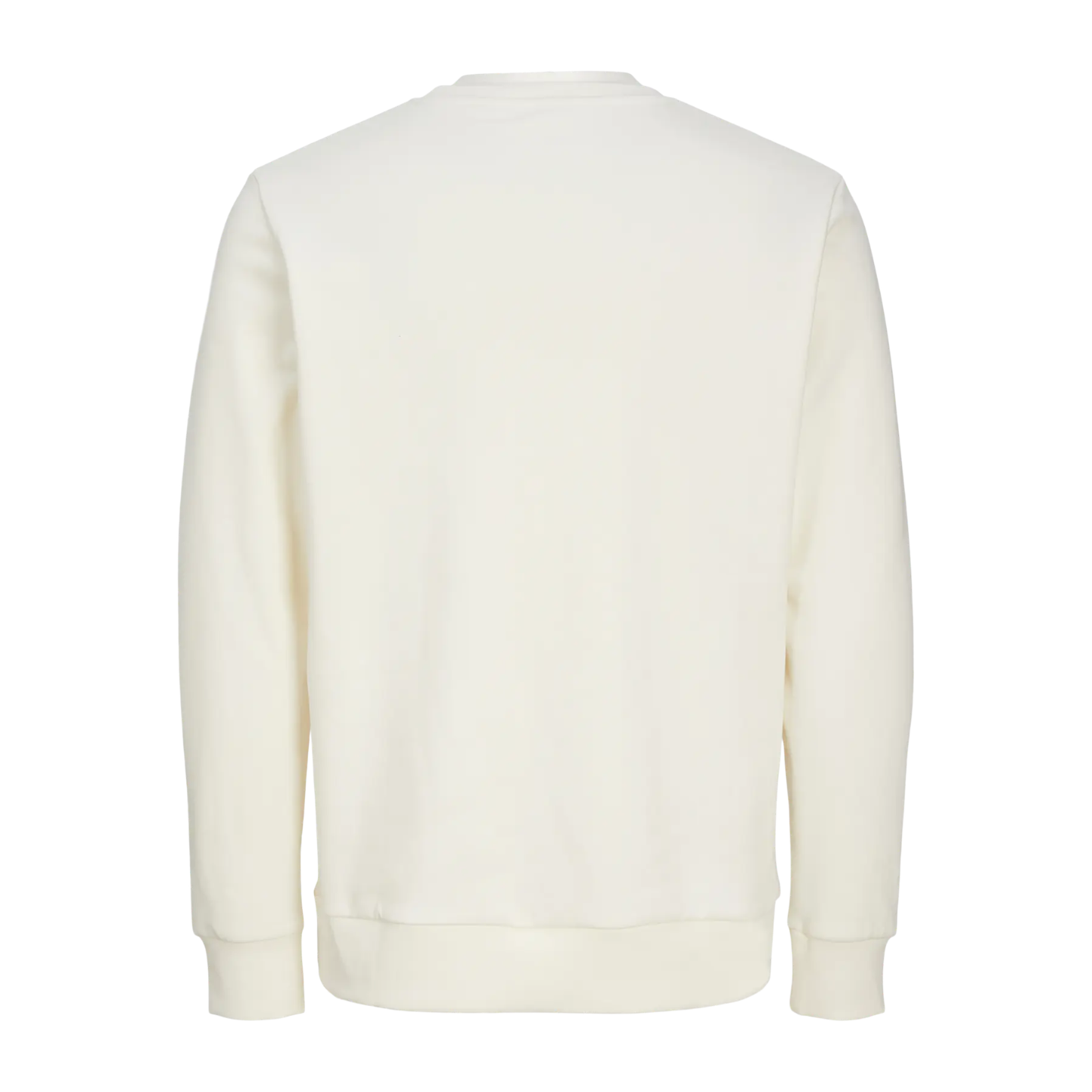 Felpa girocollo EGRET con ricamo BUCI Man