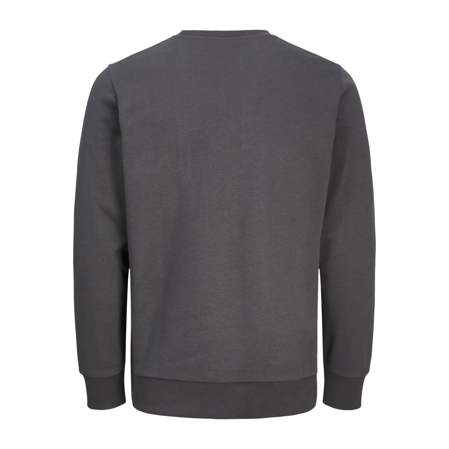 Felpa girocollo ASPHALT con ricamo BUCI Man