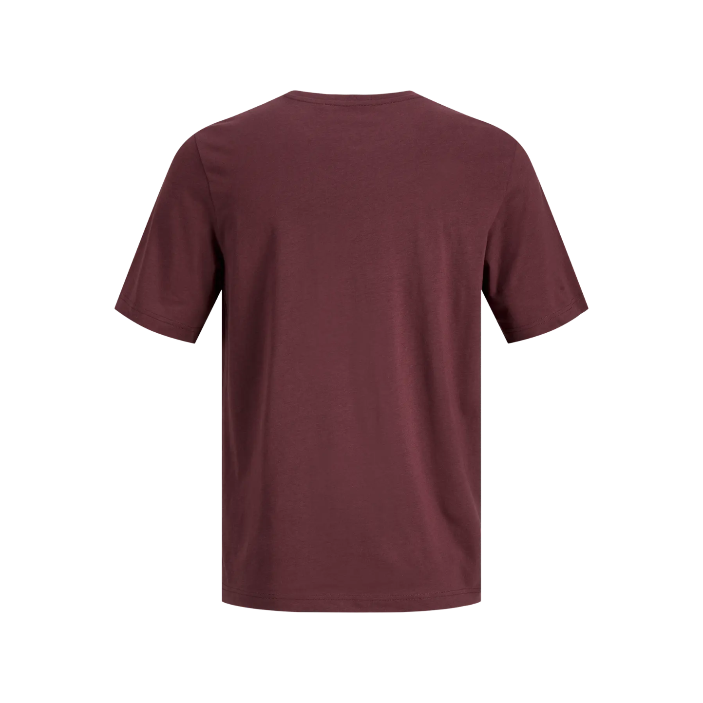 T-shirt P. ROYALE con ricamo BUCI Man